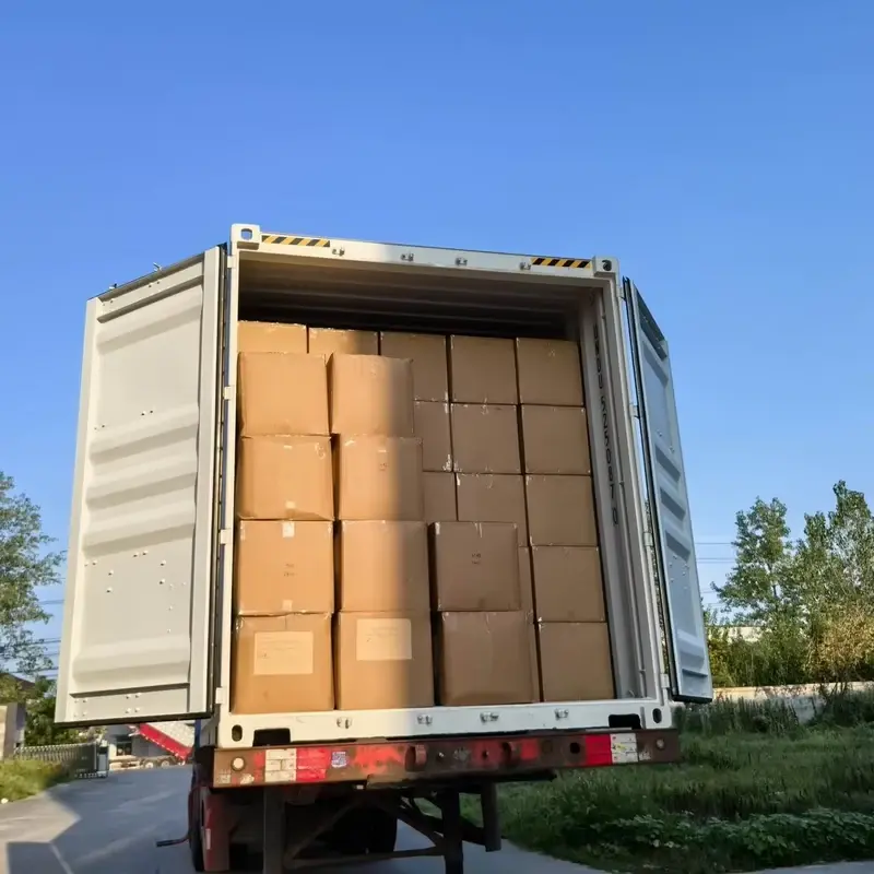 Cardboard cartons stacked inside an open freight container